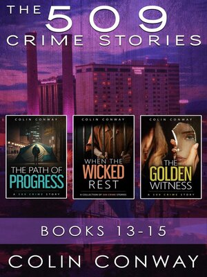 cover image of The 509 Crimes Stories